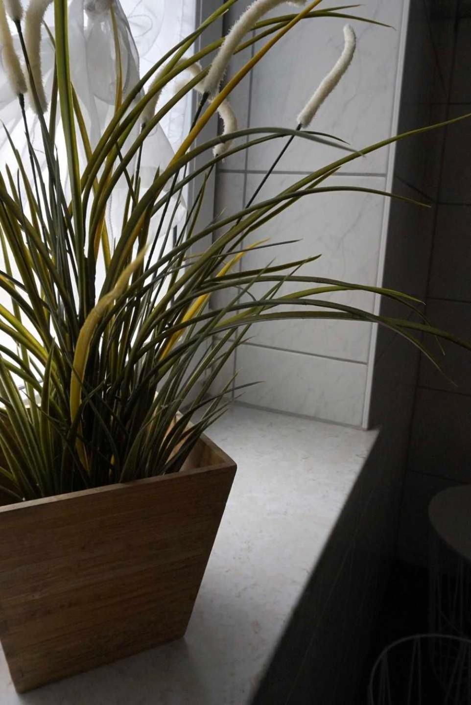 Apartment Sporn *